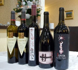 Degustare vinuri Casa Oprișor Expo