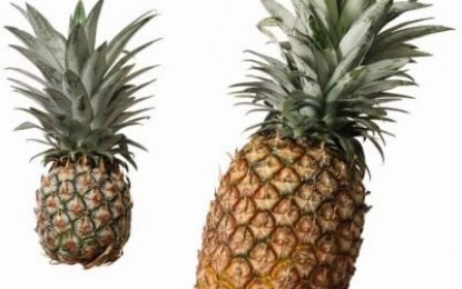 Cum alegem un ananas