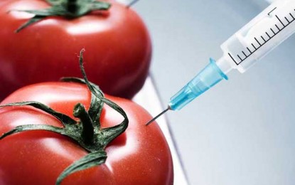 Mâncăm, fără să știm, alimente care conțin OMG-uri?