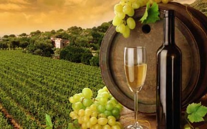 În 2013 vom putea bea primele vinuri bio cu acte-n regulă
