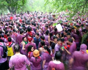 Batalla del Vino Haro