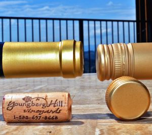 Tipuri de dop de vin