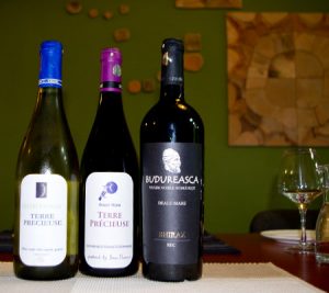 Vinuri DVFR + Shiraz Budureasca