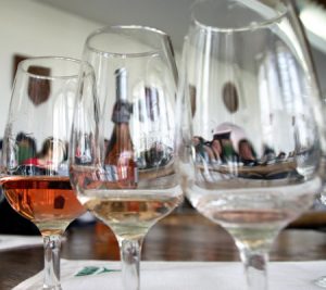 Degustare Casa de Vinuri Cotnari